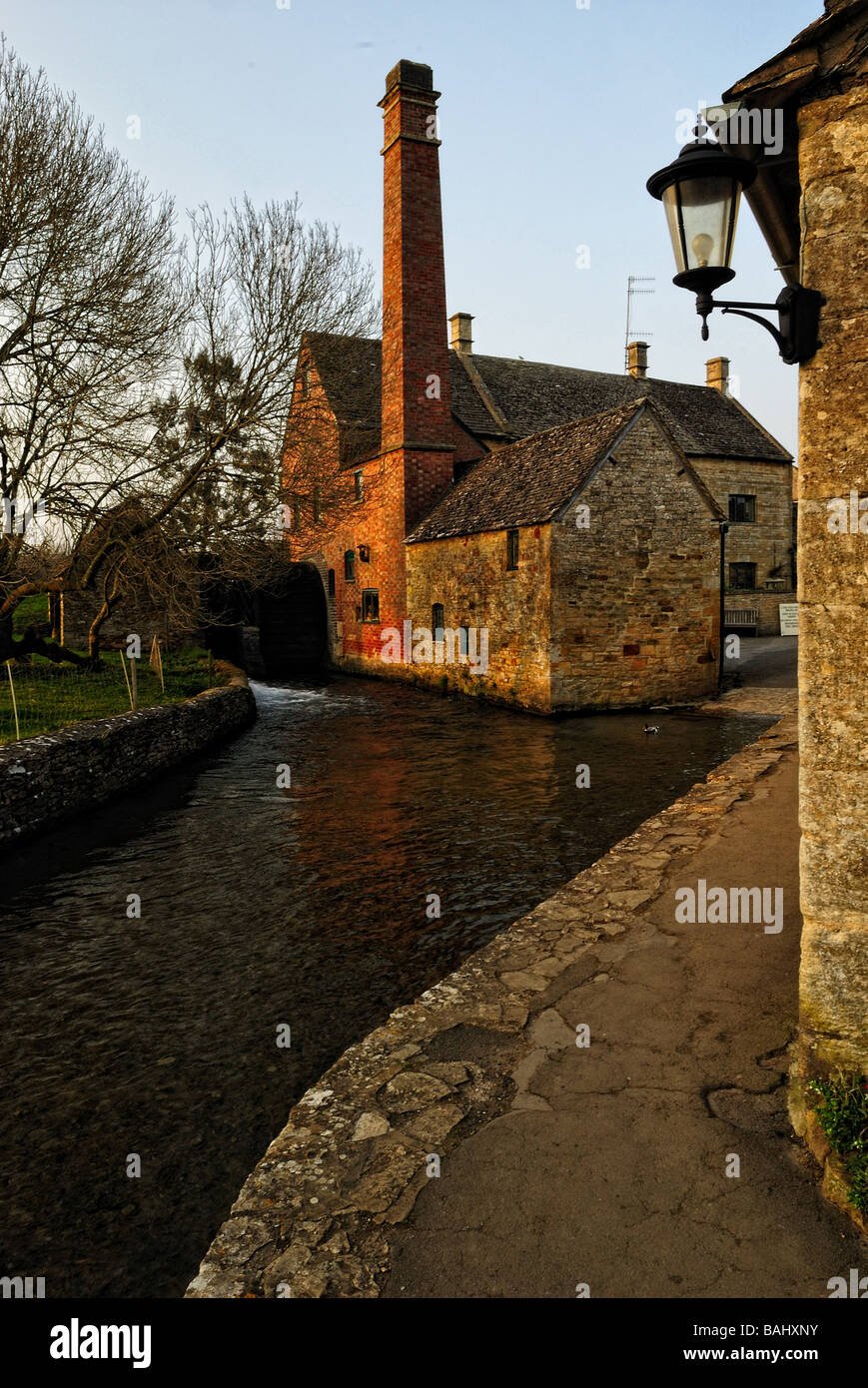 How Old Is Armin Arlert Exactly in Gintama?